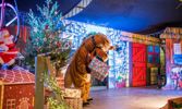 Cantref Adventure Farm Christmas Panto 