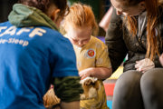 An image of a girl gently stroking a guinea pig rested on her lap in the petting barn at Cantref Adventure Farm.