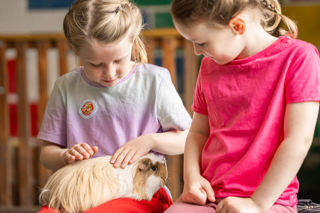 An image of a girl with a guinea pig rested on her lap, whilst she gently strokes it and another girl waiting patiently for her turn.