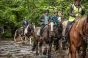 An image of a group of riders on horseback walking through a shallow stream in single file.