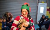 Animal Petting at Cantref Adventure Farm Christmas Grotto